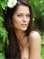 Amelie B - BARDHE